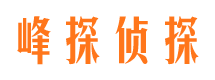 咸安婚外情调查取证